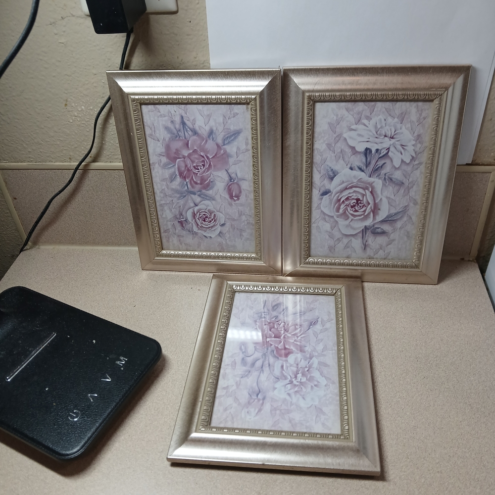 Elegant Floral Framed Art Set